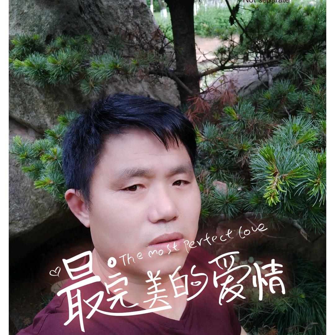 南荆柴大