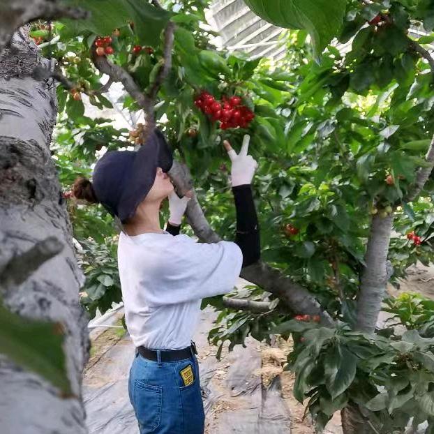 友点鲜