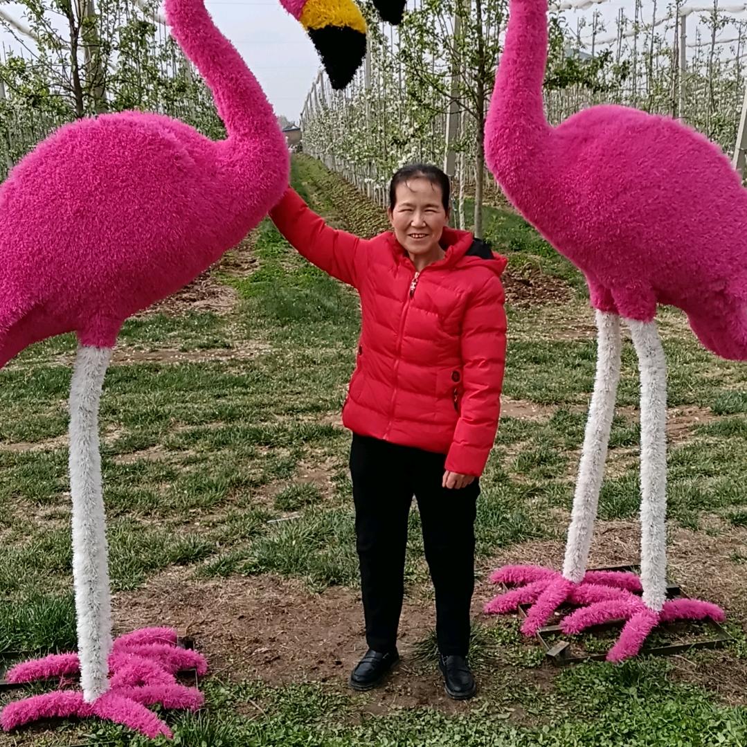 花爱阳光鱼爱水