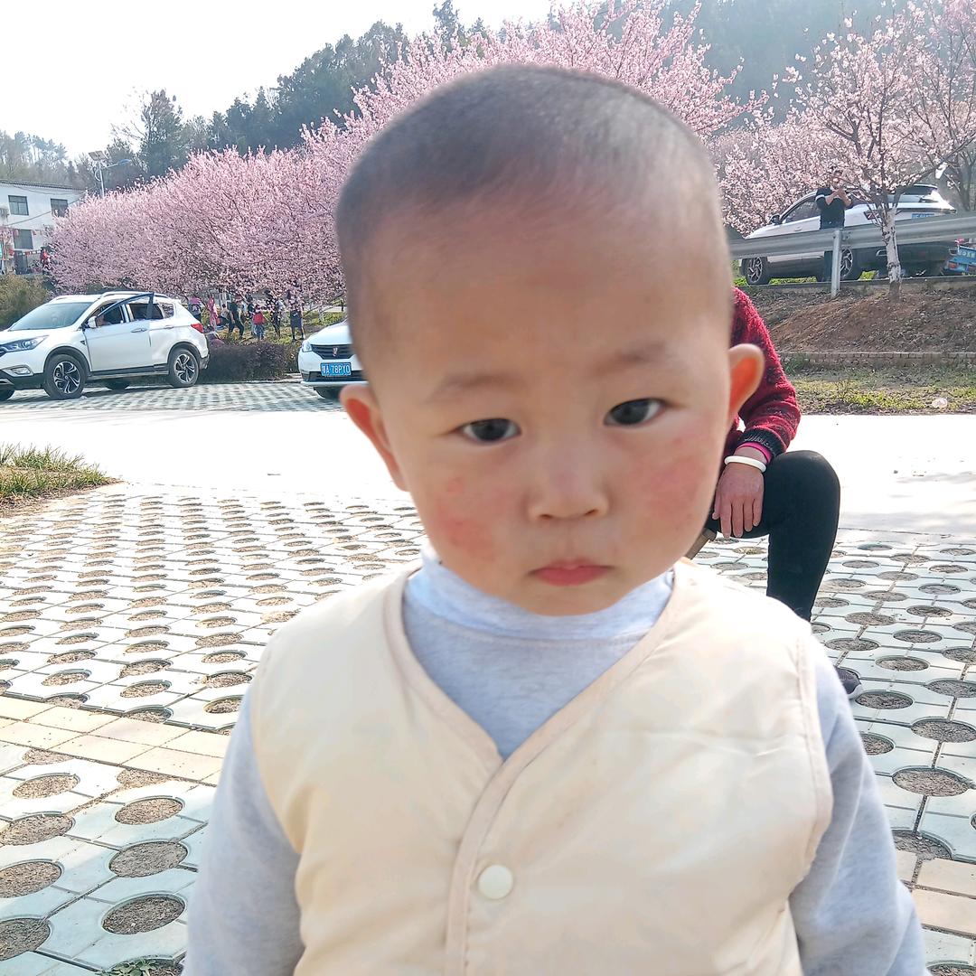 杨书安