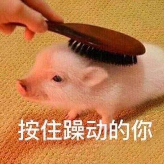 洋