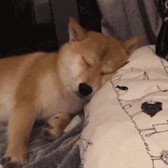 游不动的彭于晏
