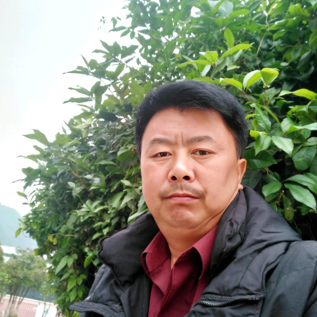 (🌹回心转意🌹🍃)
