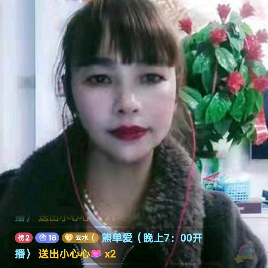 天赐熊单＋