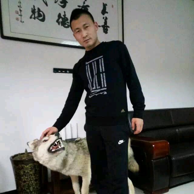 @鹏哥