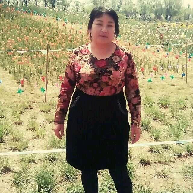 美美卖笨鸡蛋湖羊养殖场