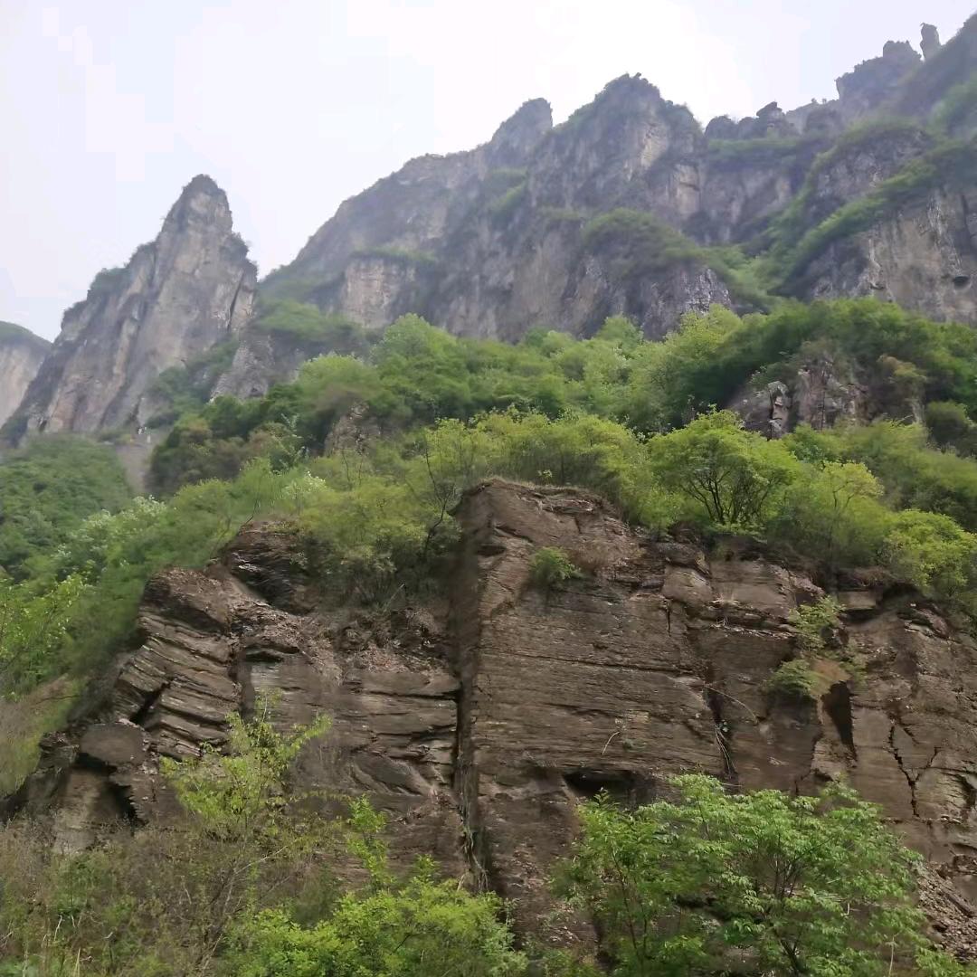 梦想成真