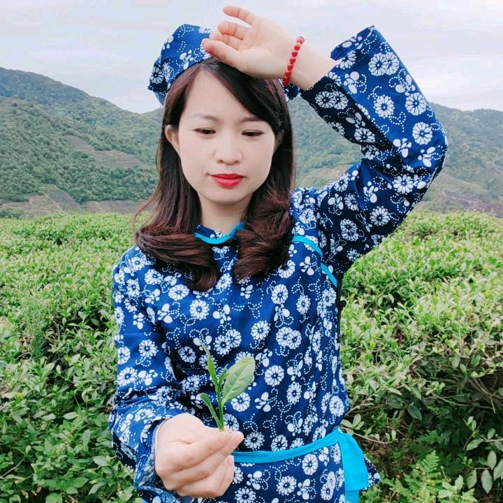 茶农女