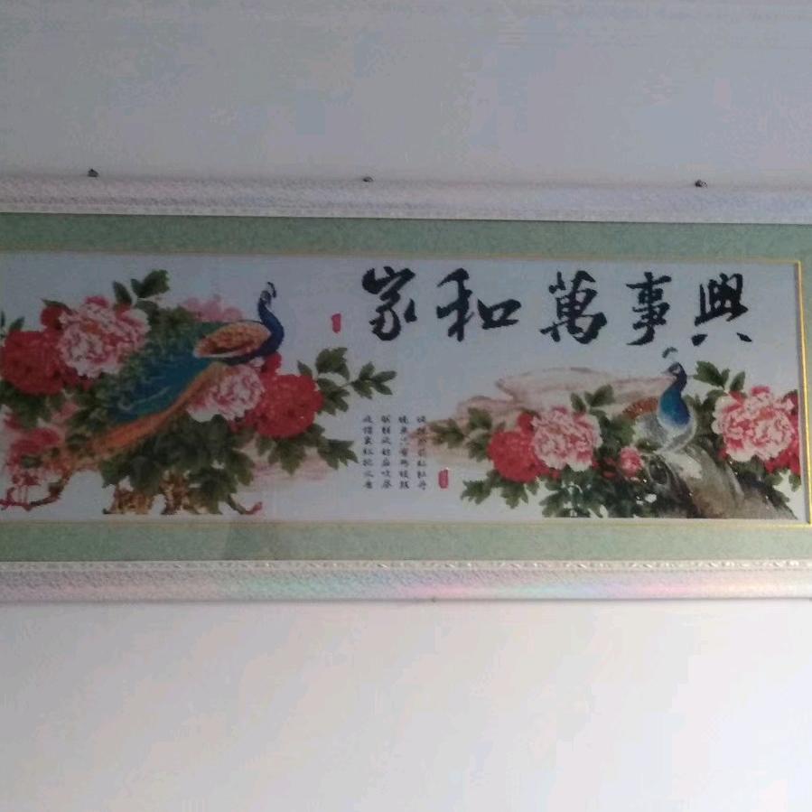 用户9480314849945