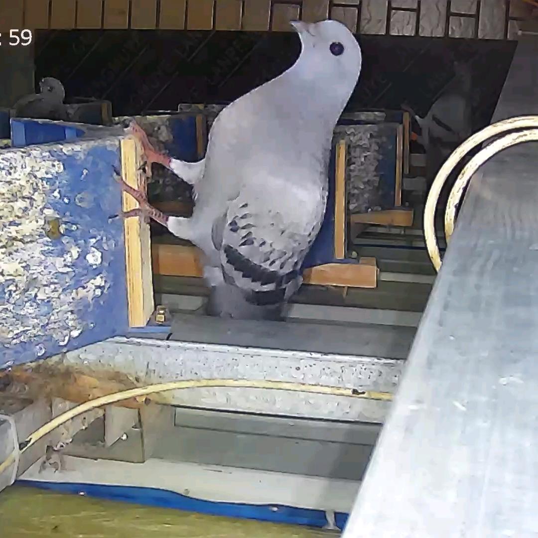 (^.^)四川❤高飞(^.^)