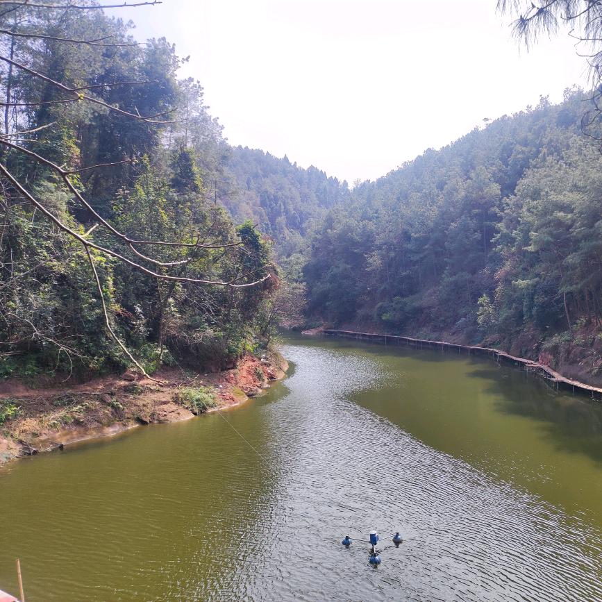 油草沟水库