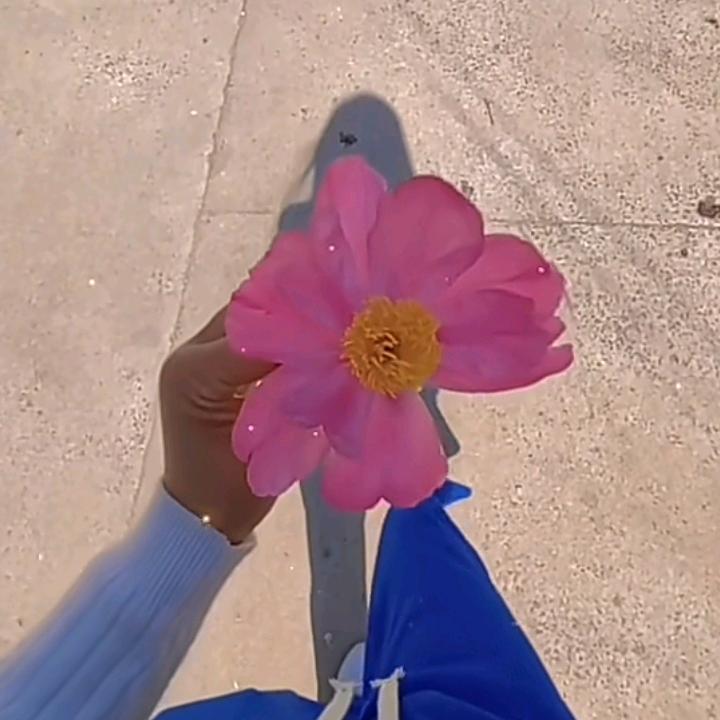 芒果🍬