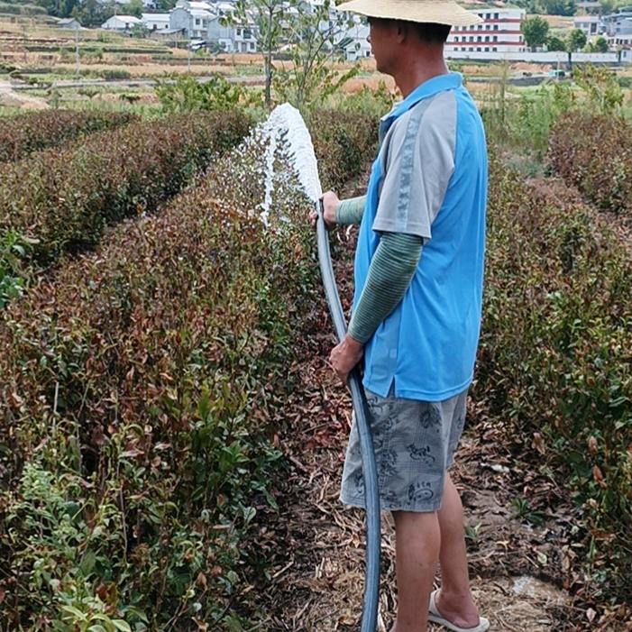 美佳茶叶
