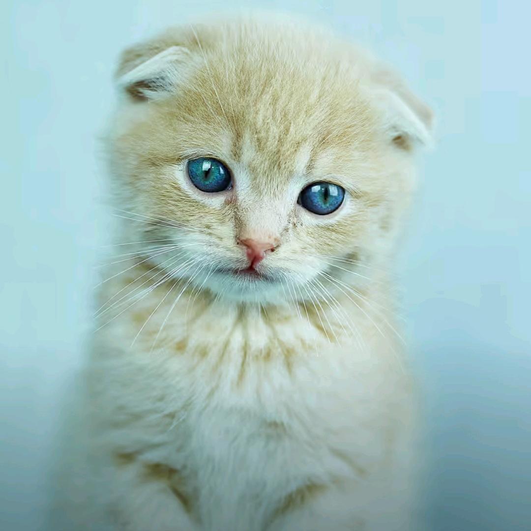 🌈🌈🌈王哥！！！