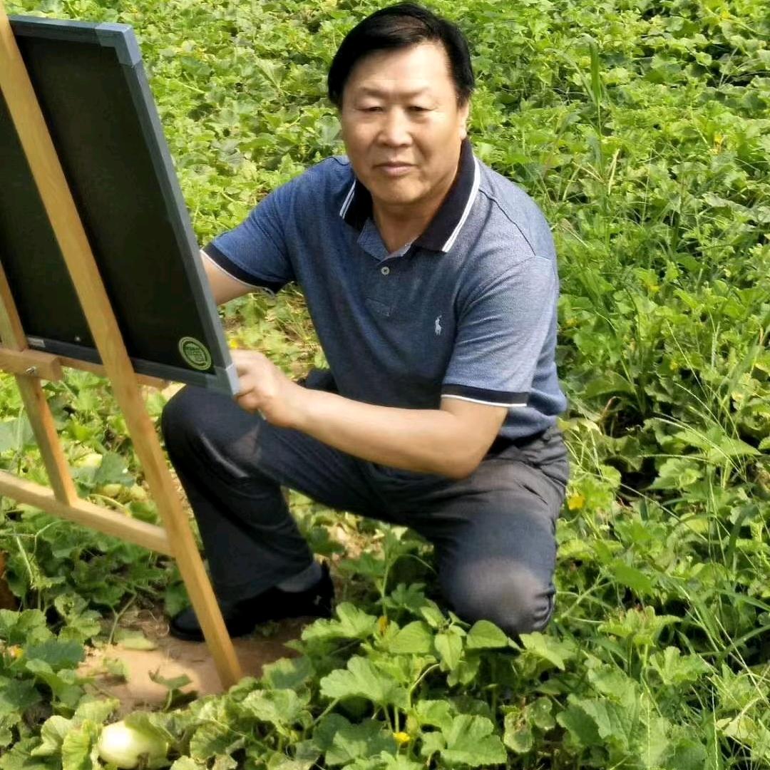 鲁守年（画坛瓜农）