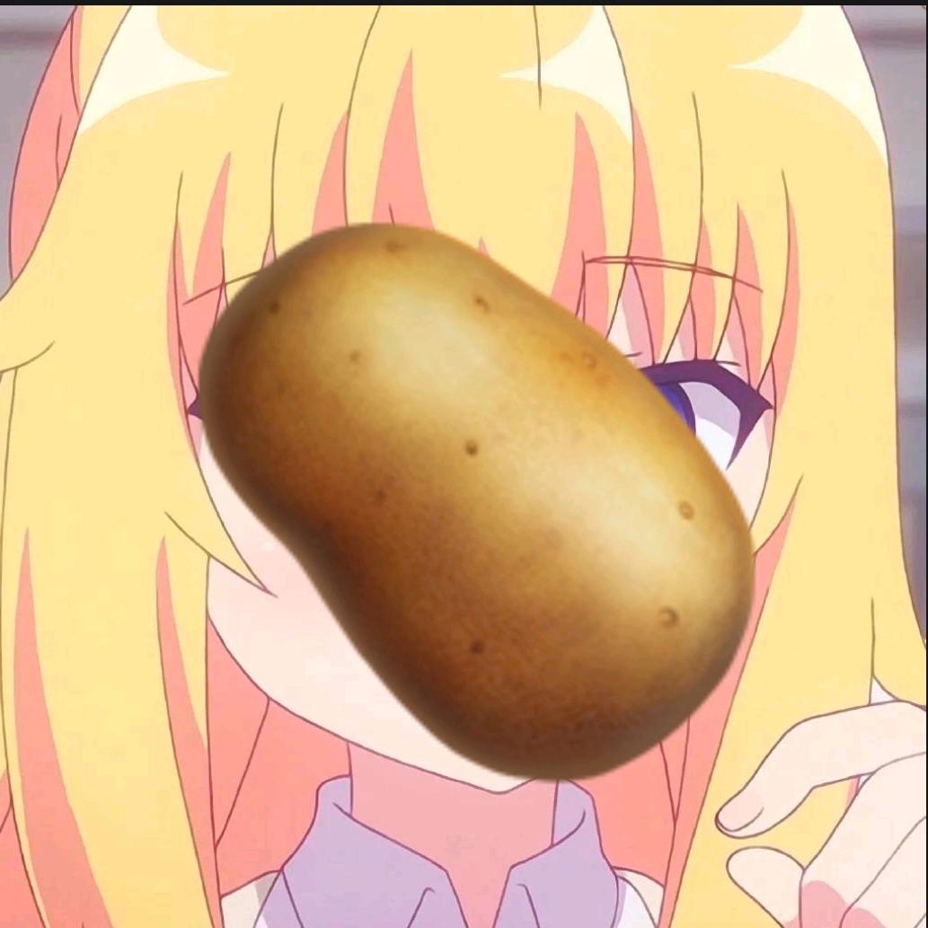 646