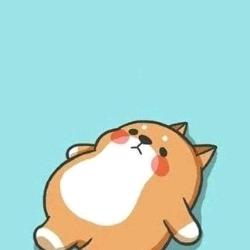比特公子