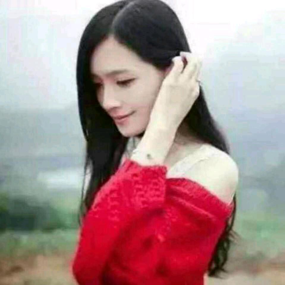 🎀蝴蝶兰🎀