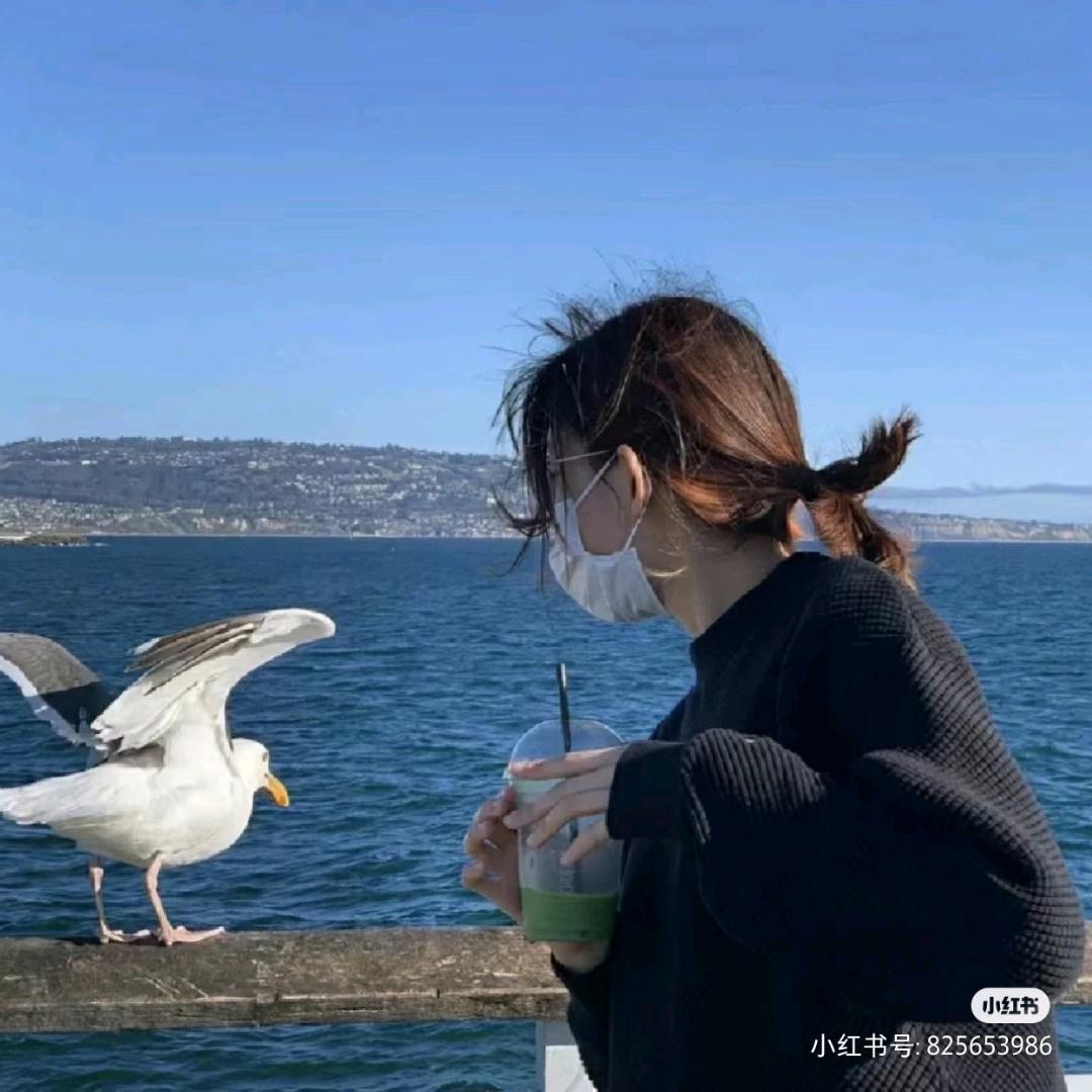 鸿雁高飞