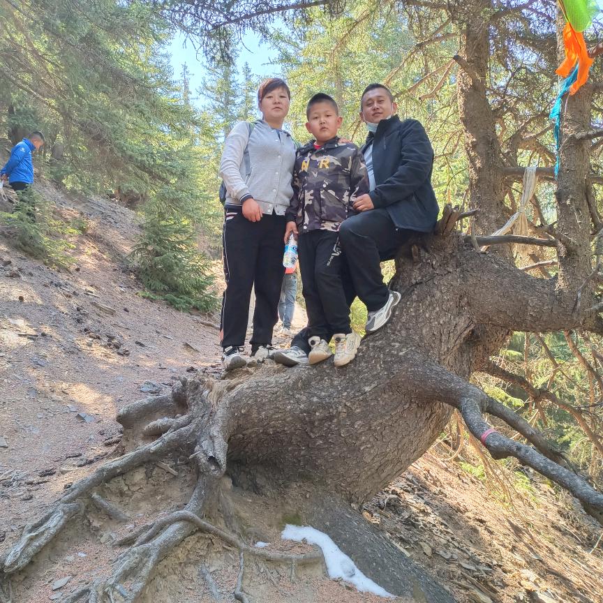 💞陈辛₅₂₀如意💞¹³¹⁴࿐