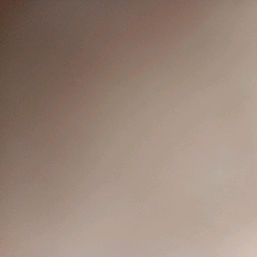 枸杞红了？？？？