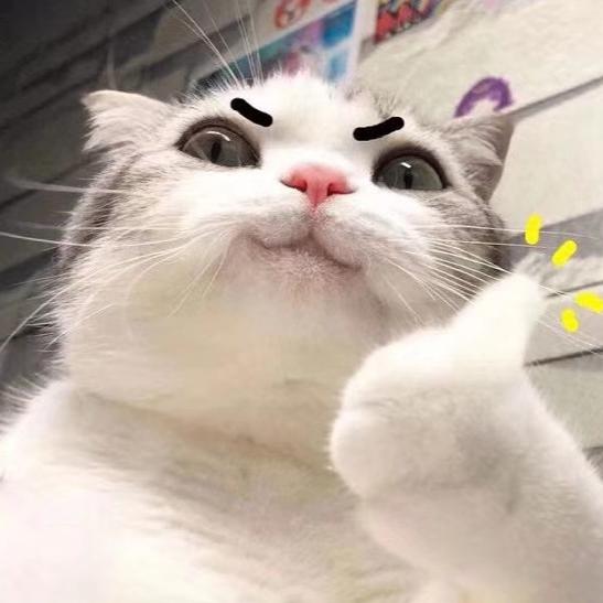 (୨୧• ᴗ •͈)◞︎ᶫᵒᵛᵉ ♡拼搏