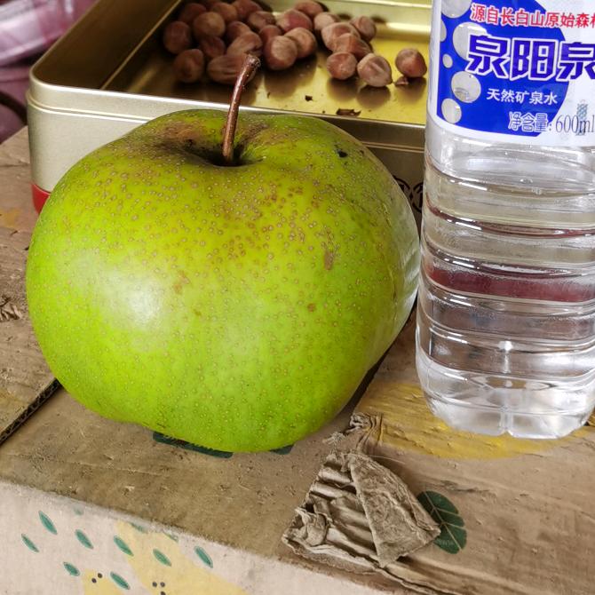 爱学习爱劳动的大俊