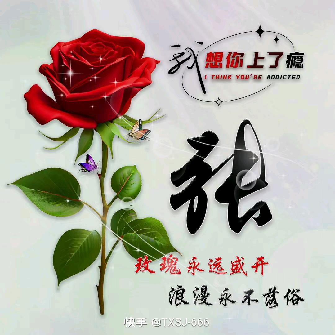 努力搞钱！