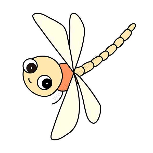 蜻蜓视线