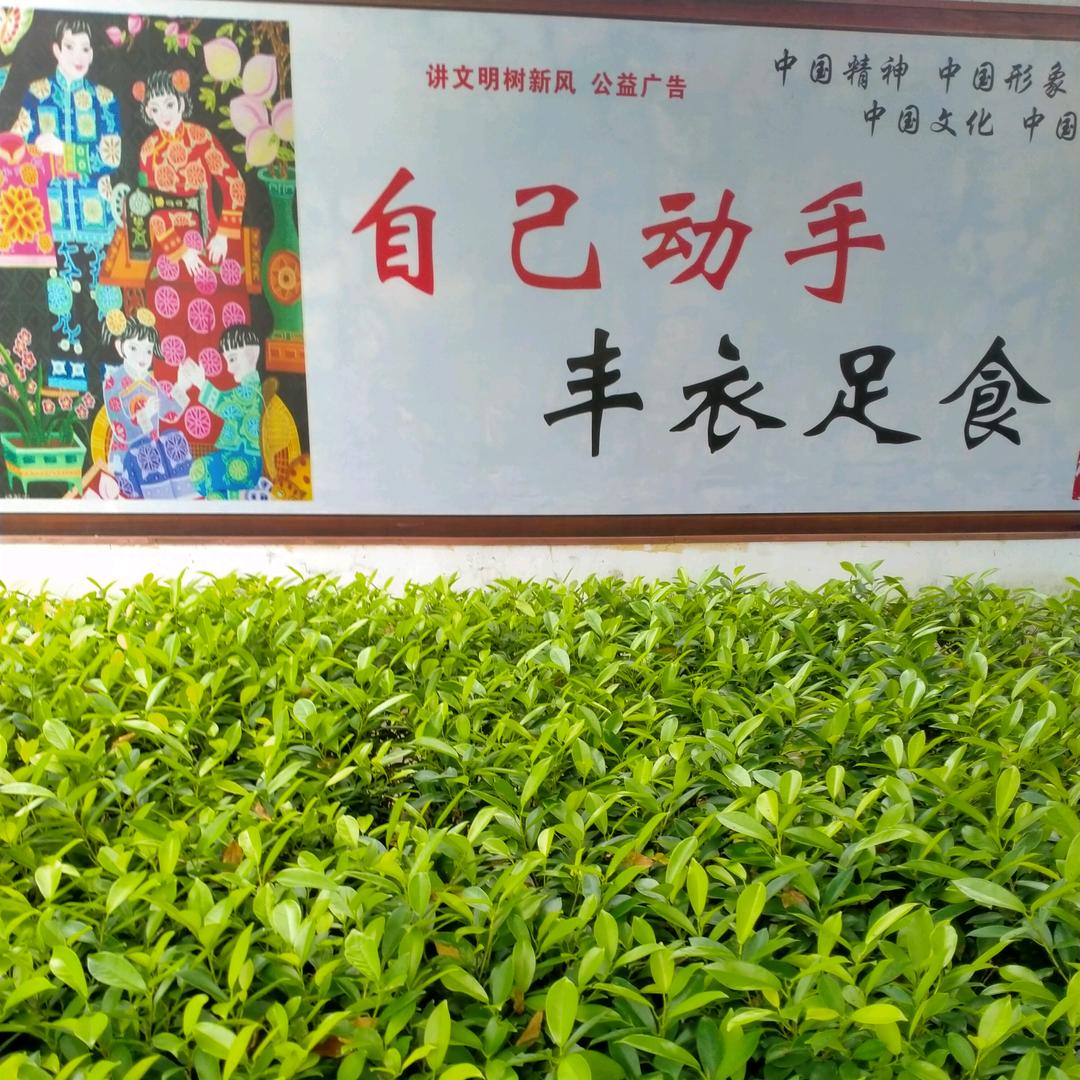 彭总