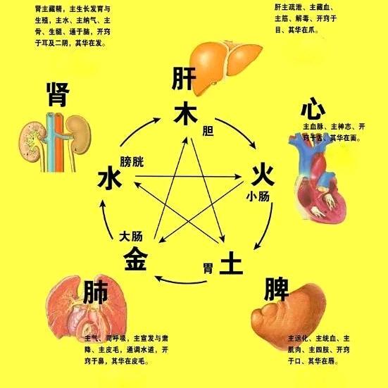 梁家推拿店