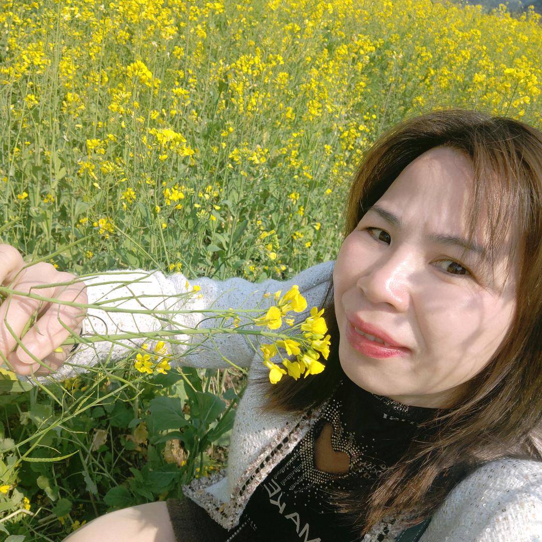 凤英