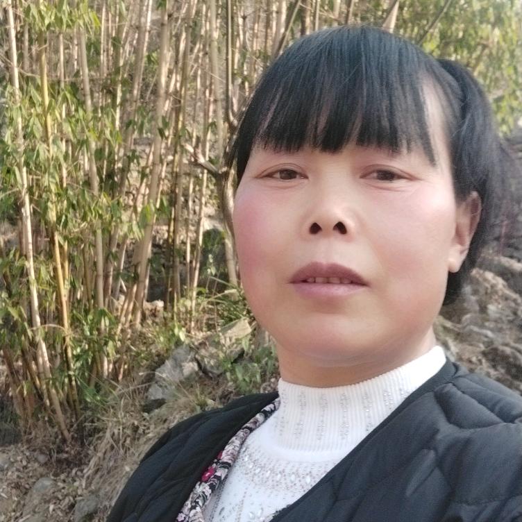 曾霞姐