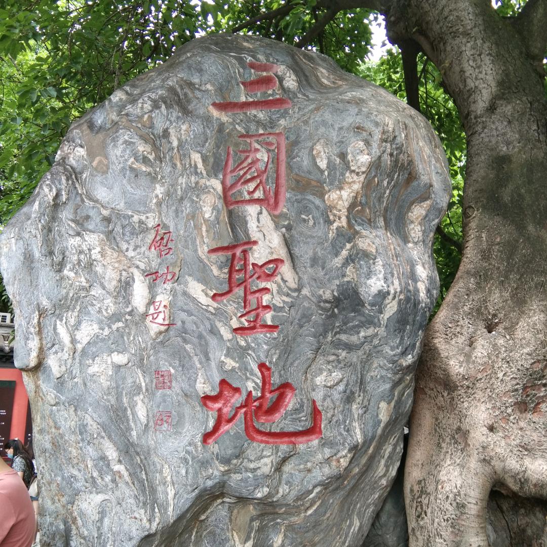 信鸽