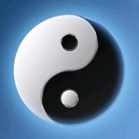 齐鲁风水师老赵