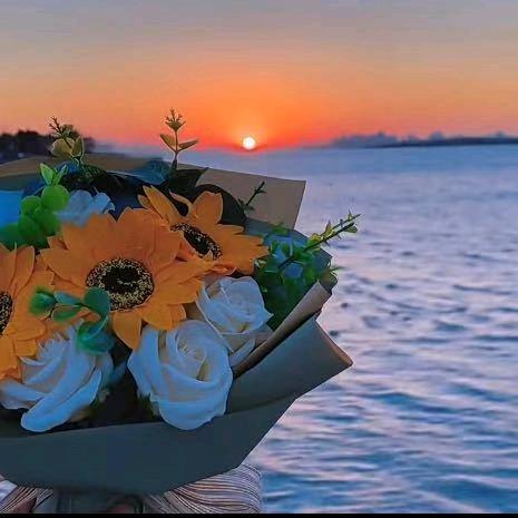 🌽夕阳红🌽 ⁶¹⁹