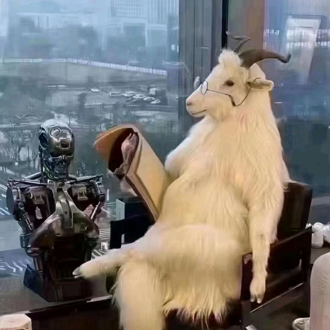 羊伯乐