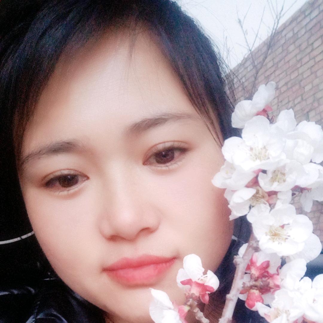 洛川苹果接单中