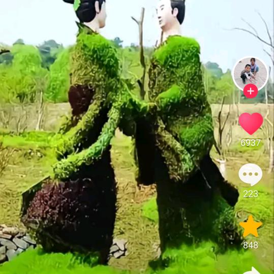 我是风雨同舟