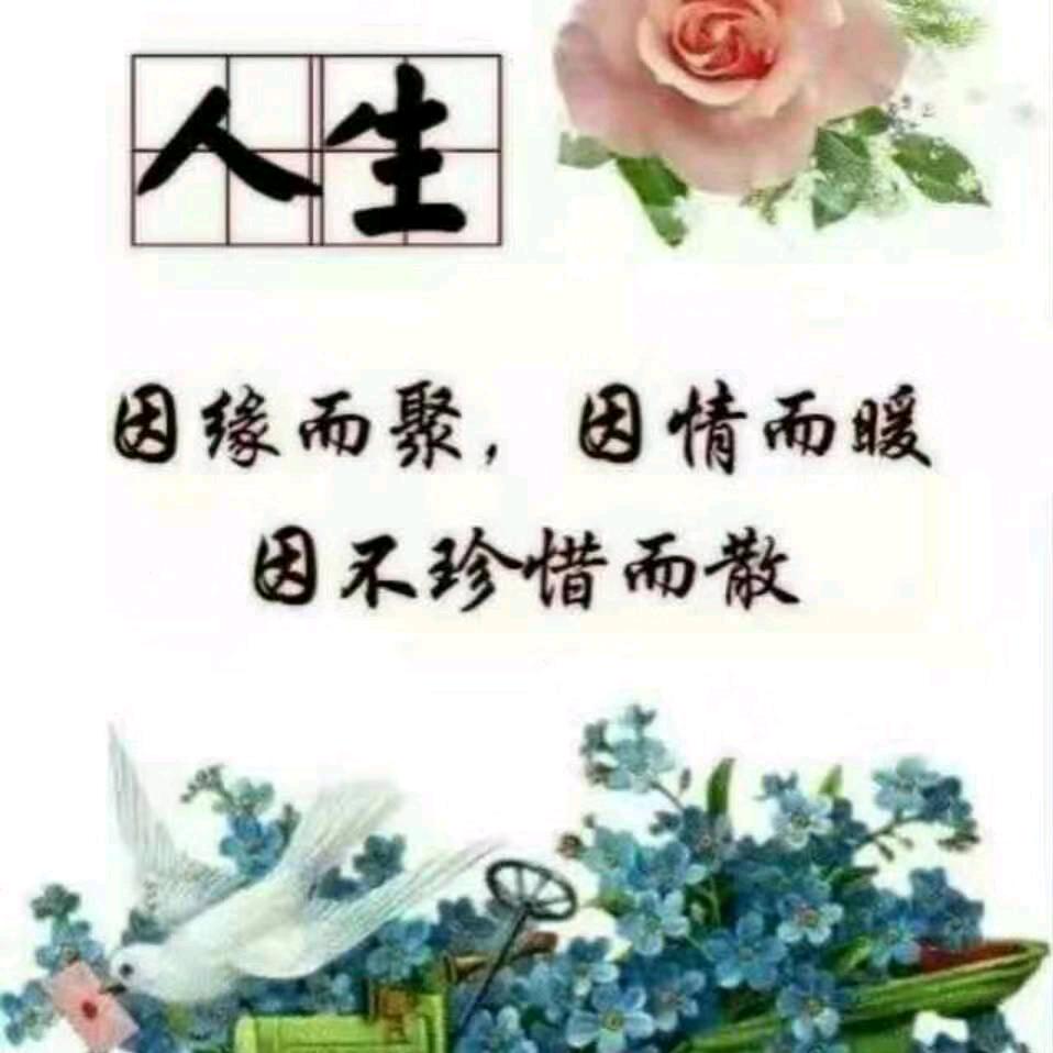 ❤️❤️一王🍅🎲情深💝💝🍎🍎