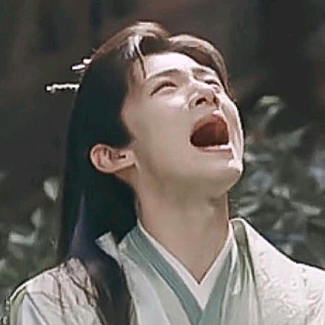 不吃香菜的苦瓜大王