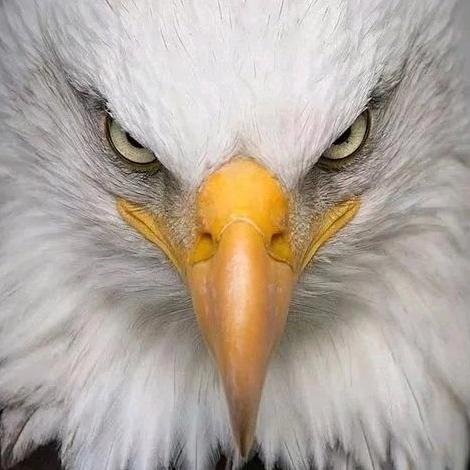 太原市国云昌工贸有限公司