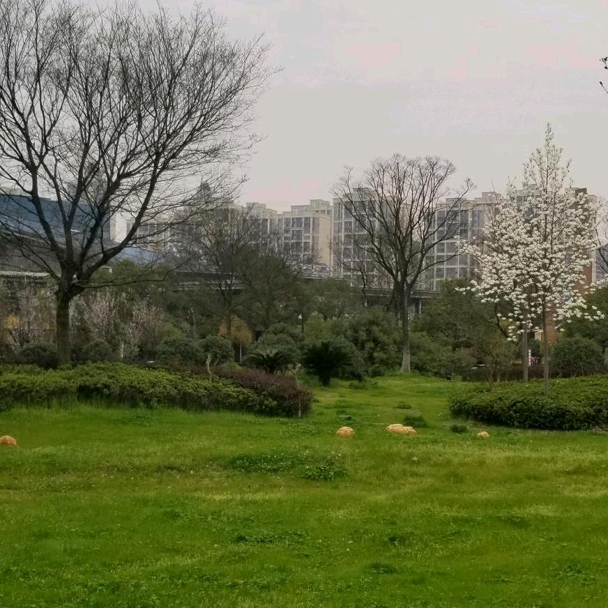 高新区客家食代