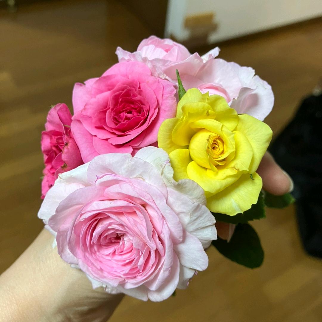 琪辰严选