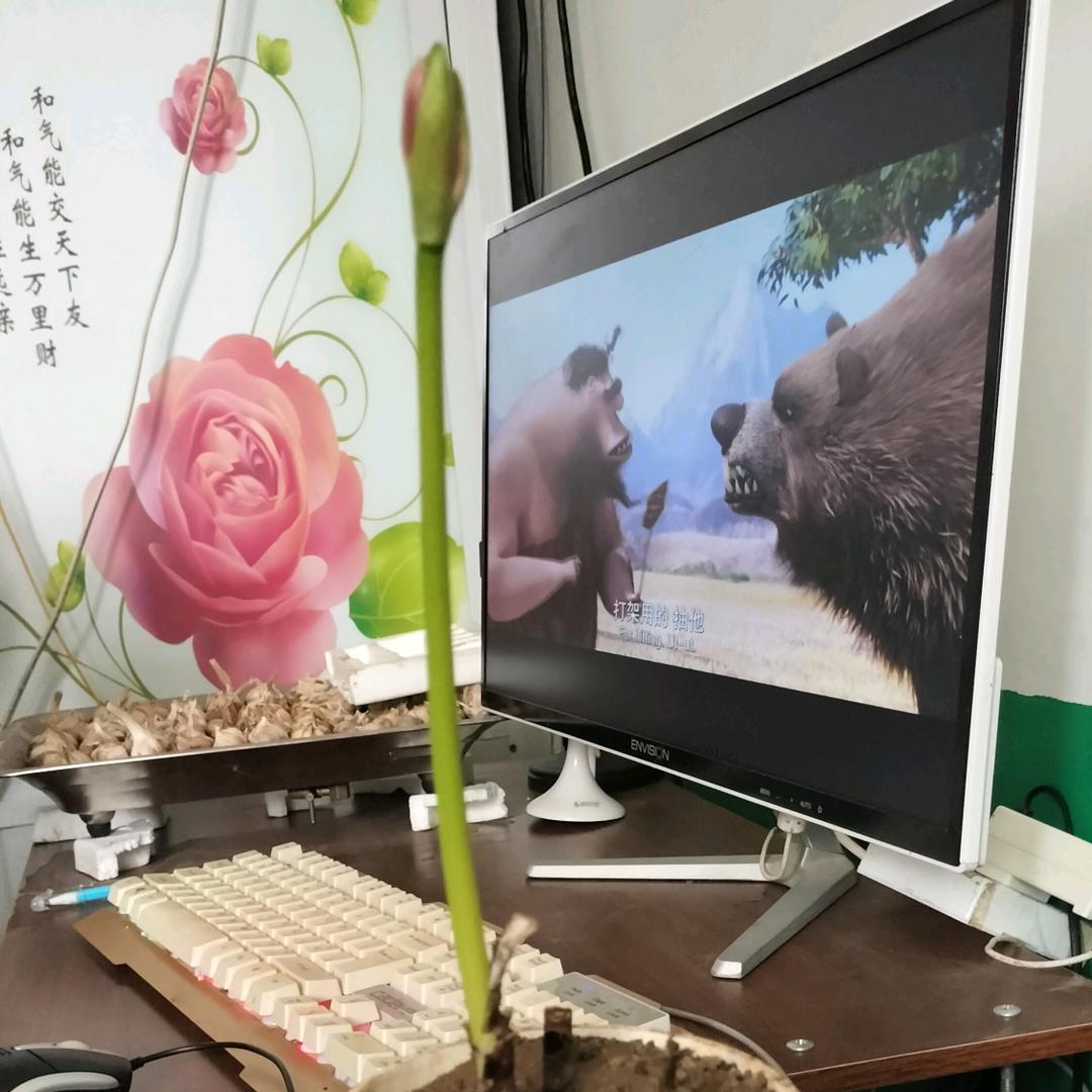 爱跳舞的小女孩