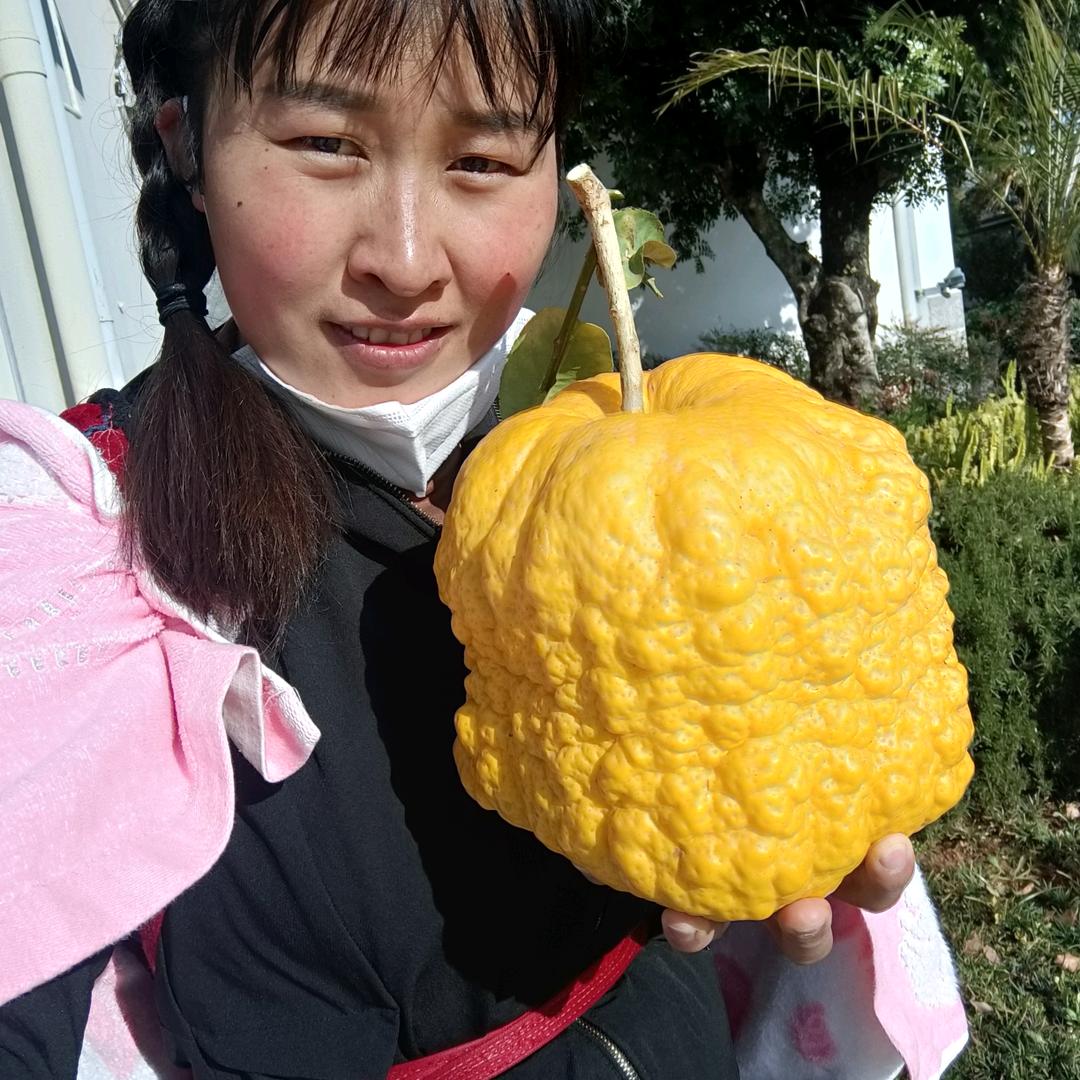 一锅核