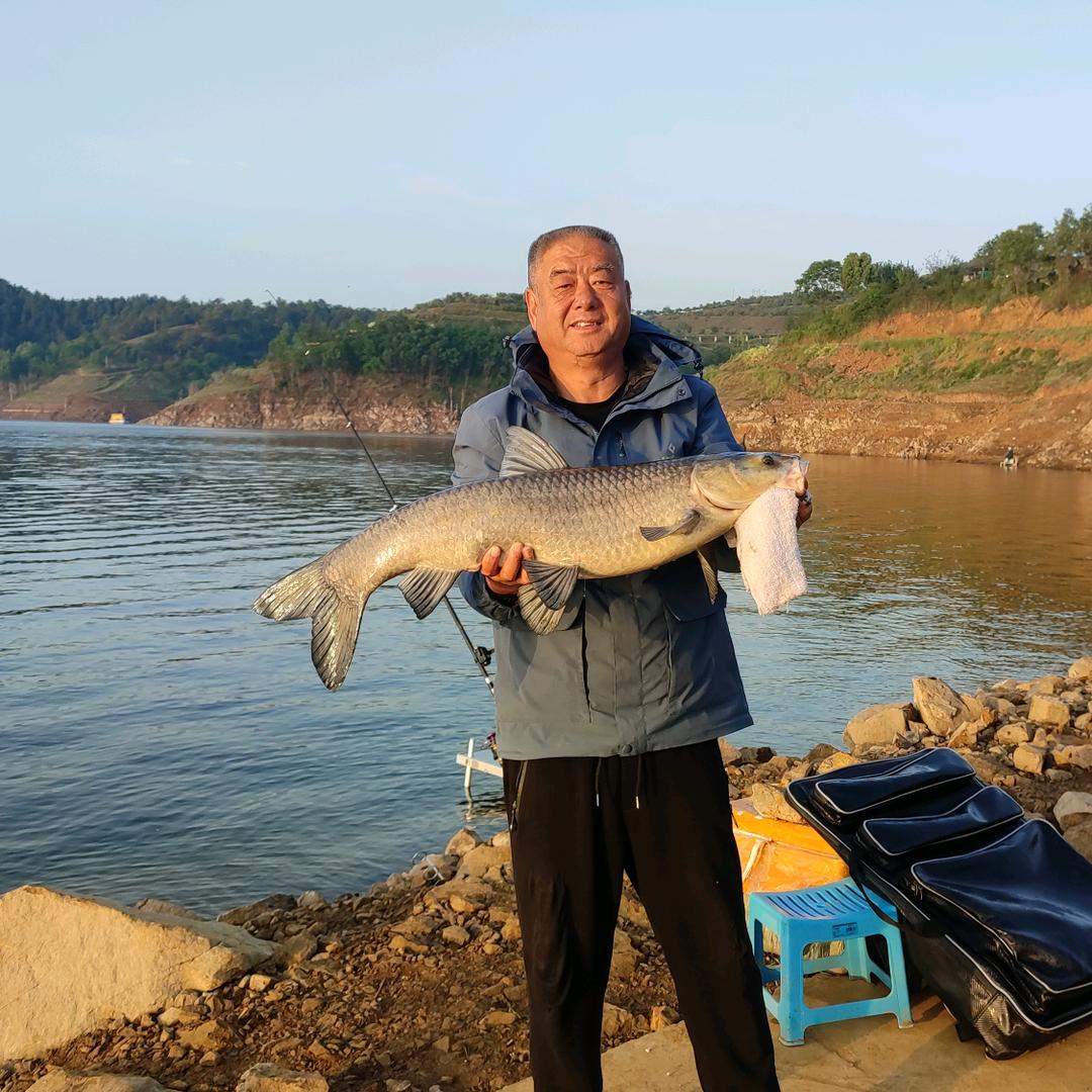 闲云野鹤高哥
