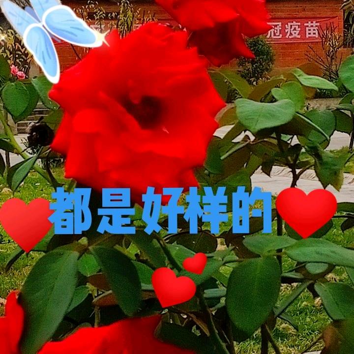 天道酬善