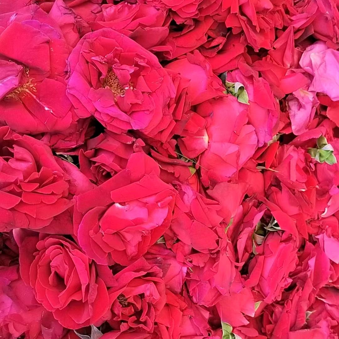 玫瑰醋🌹🌹🌹