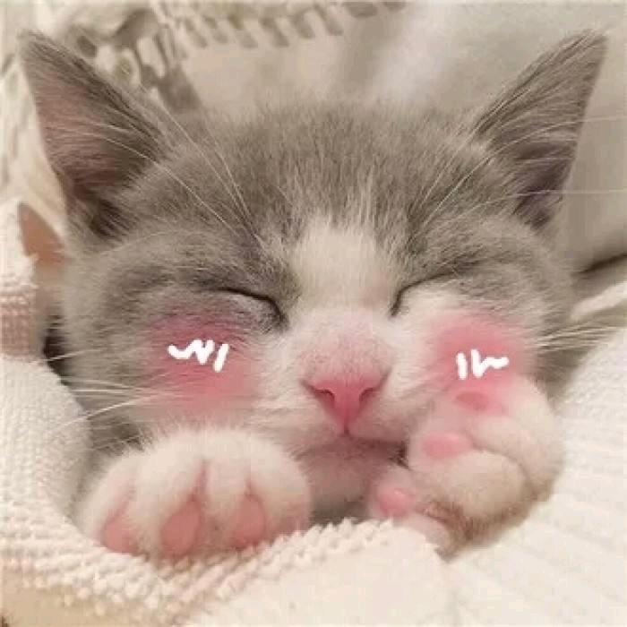 ❤️昕昕儿